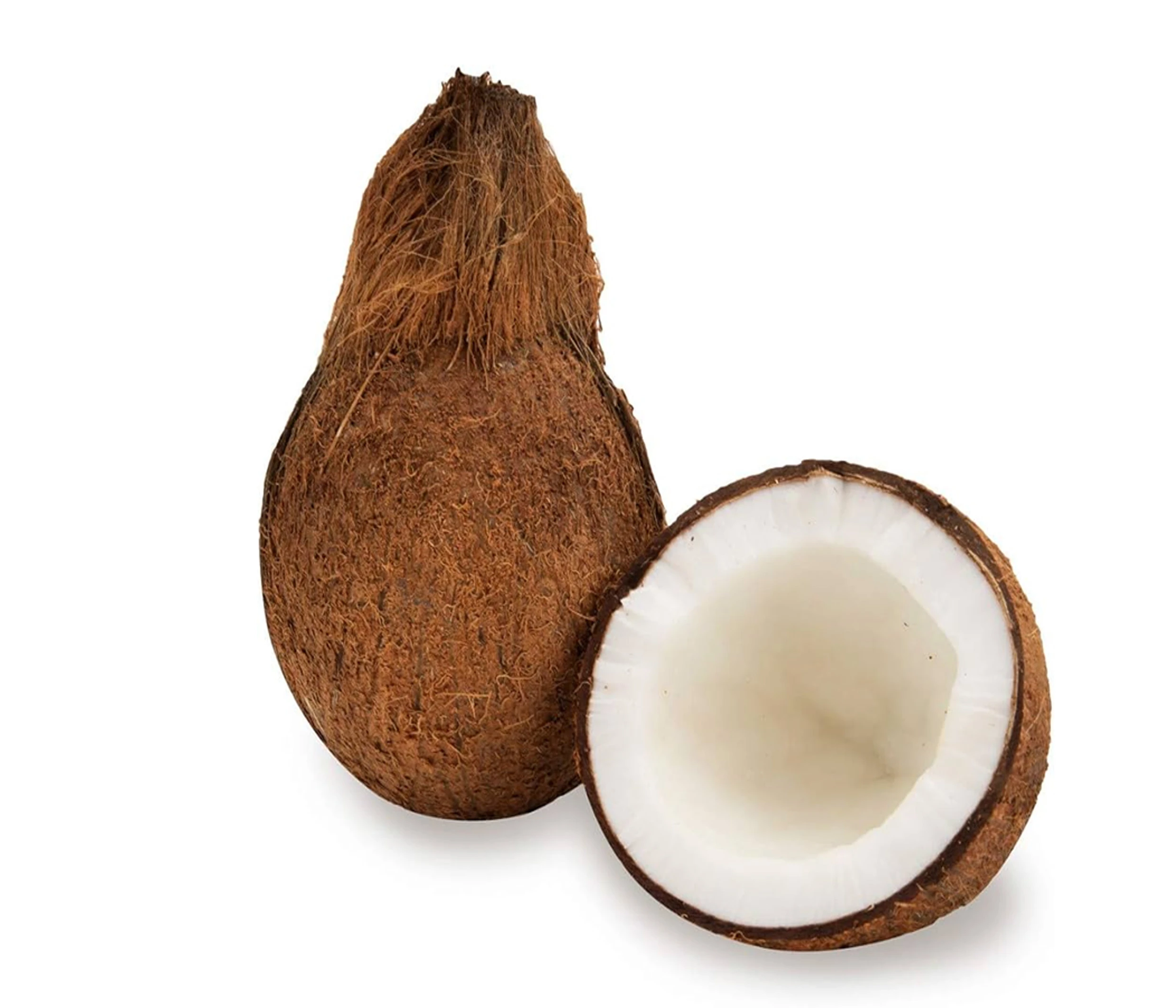 COCONUT