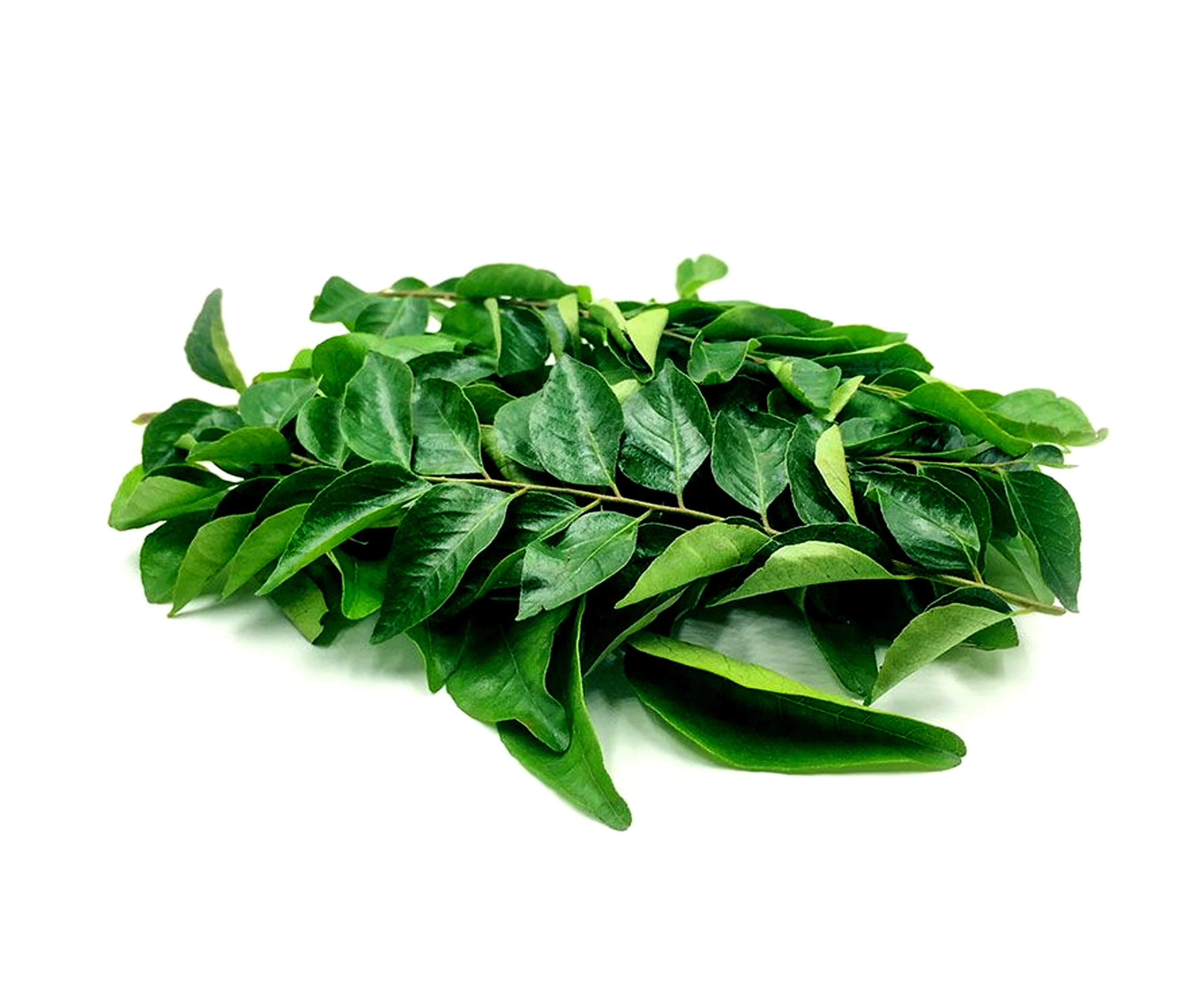 CURRY LEAVES