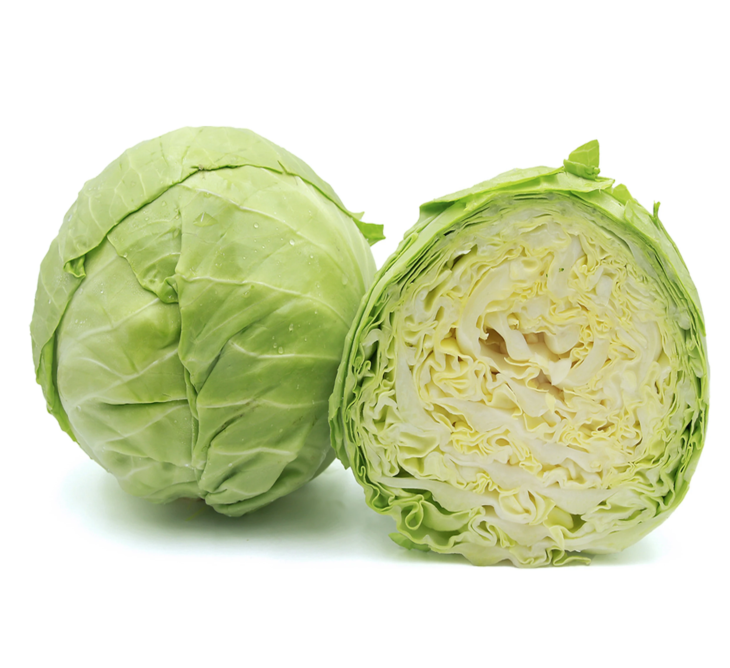 CABBAGE
