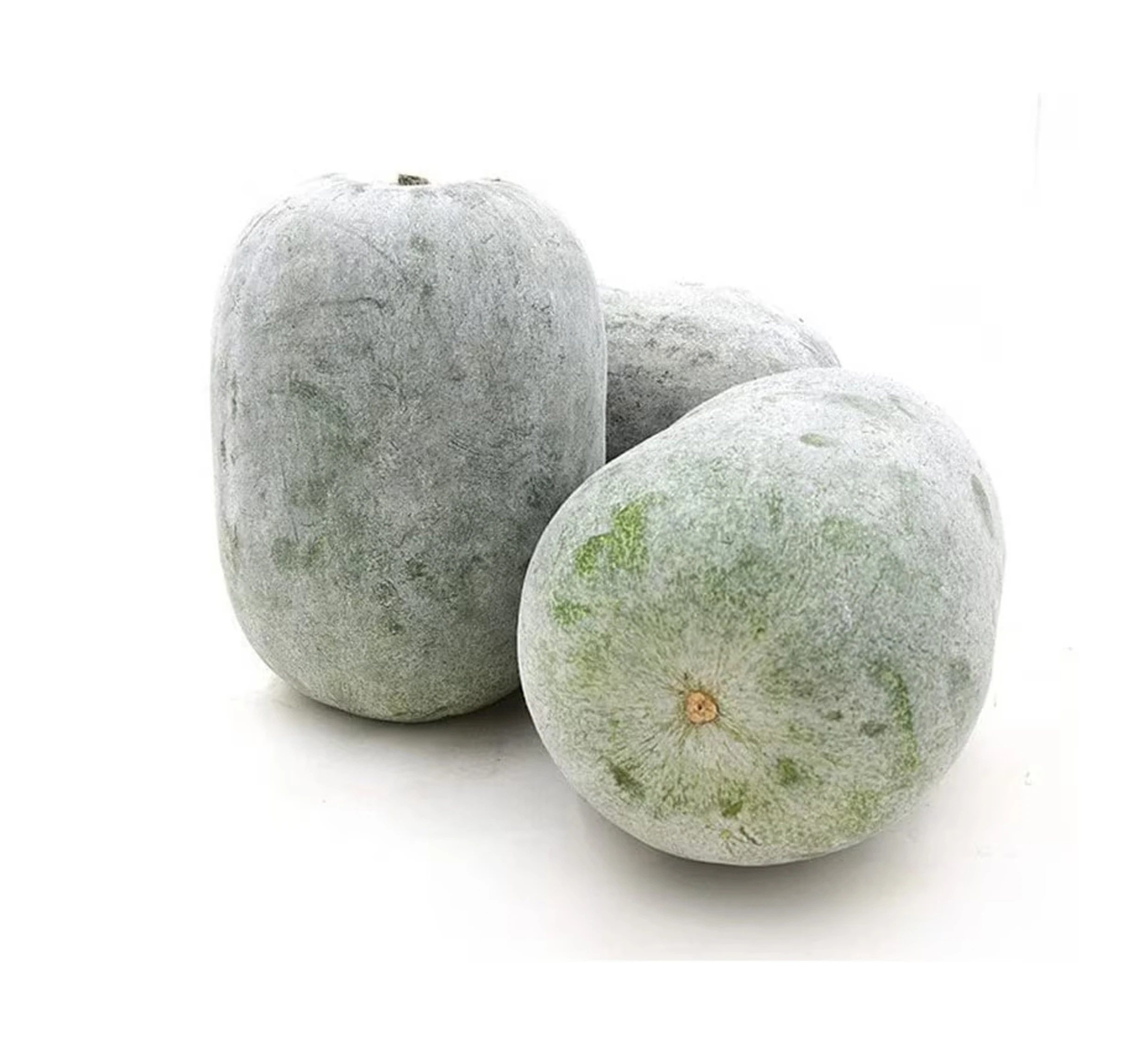 WHITE PUMPKIN